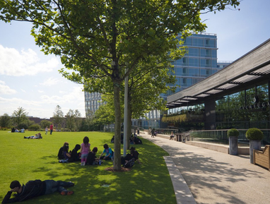 A group of people sit under a tree that is part of a line of trees next to a sidewalk.